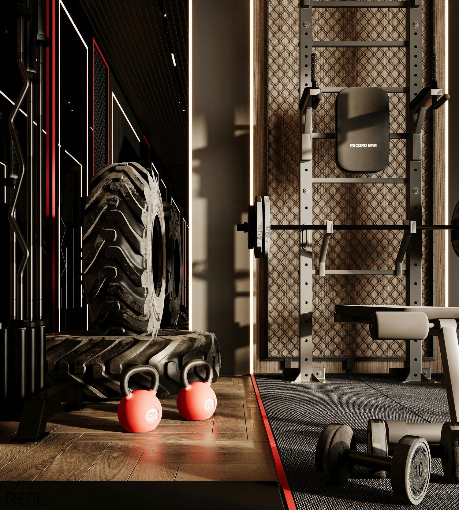 Fitness & Wellness Essentials